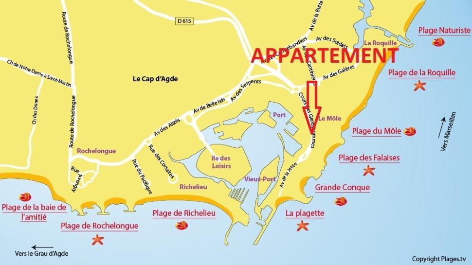 Cap D'Agde 300M Plage Du Mole,Vue Port,Parking,Lave Linge,Piscine Apartman Kültér fotó